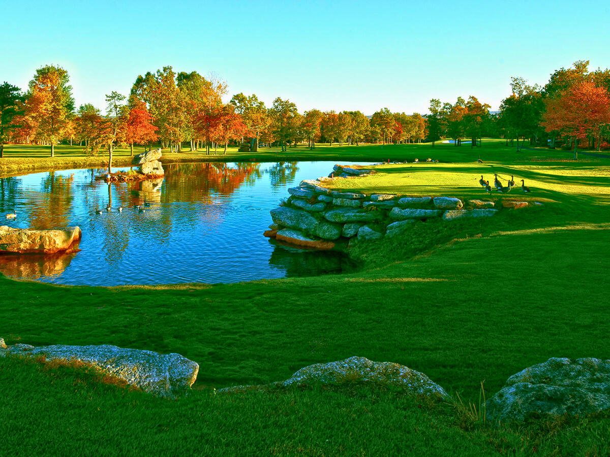 Ponds Across The Resort