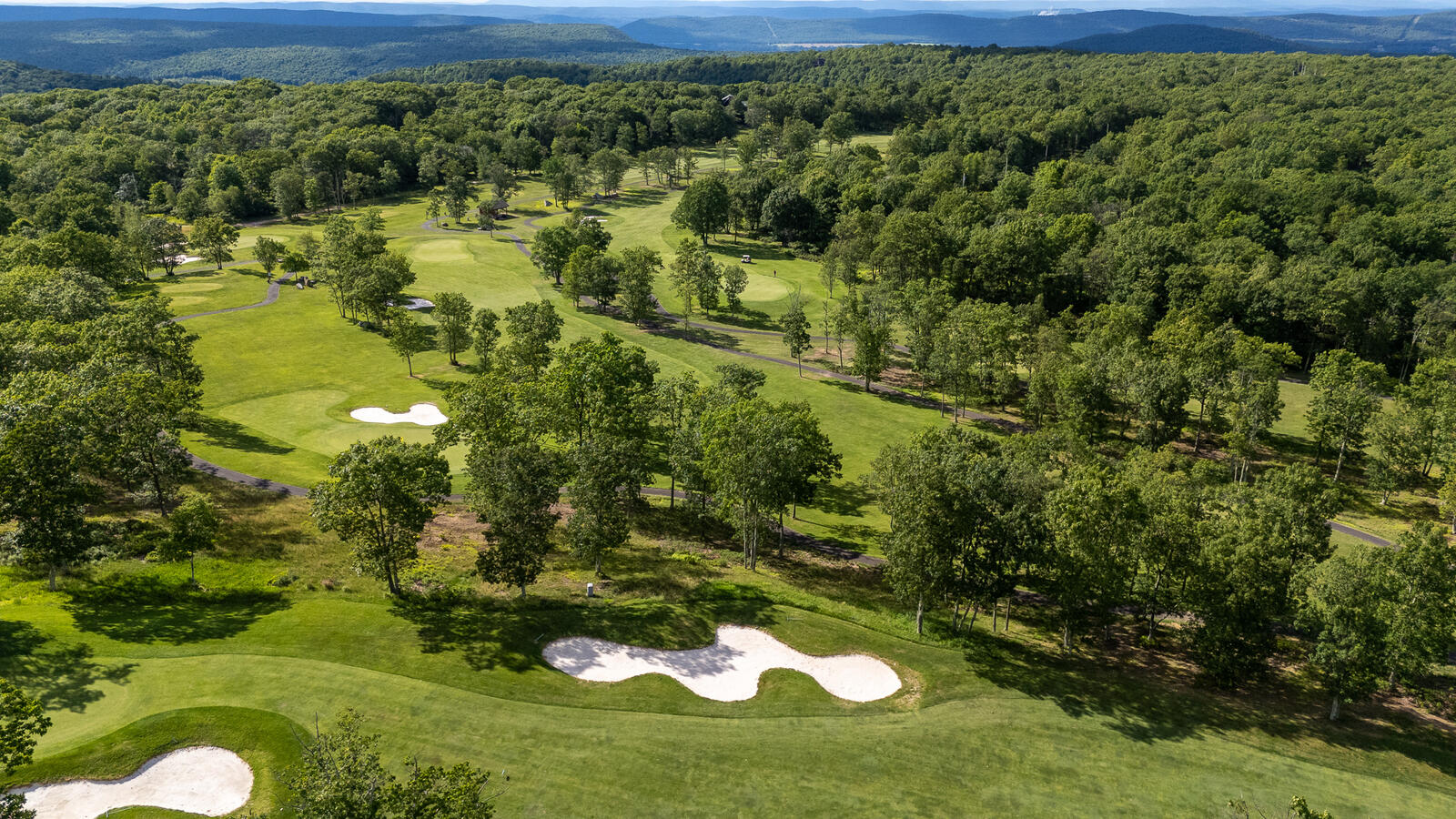 Enjoy Some Golf